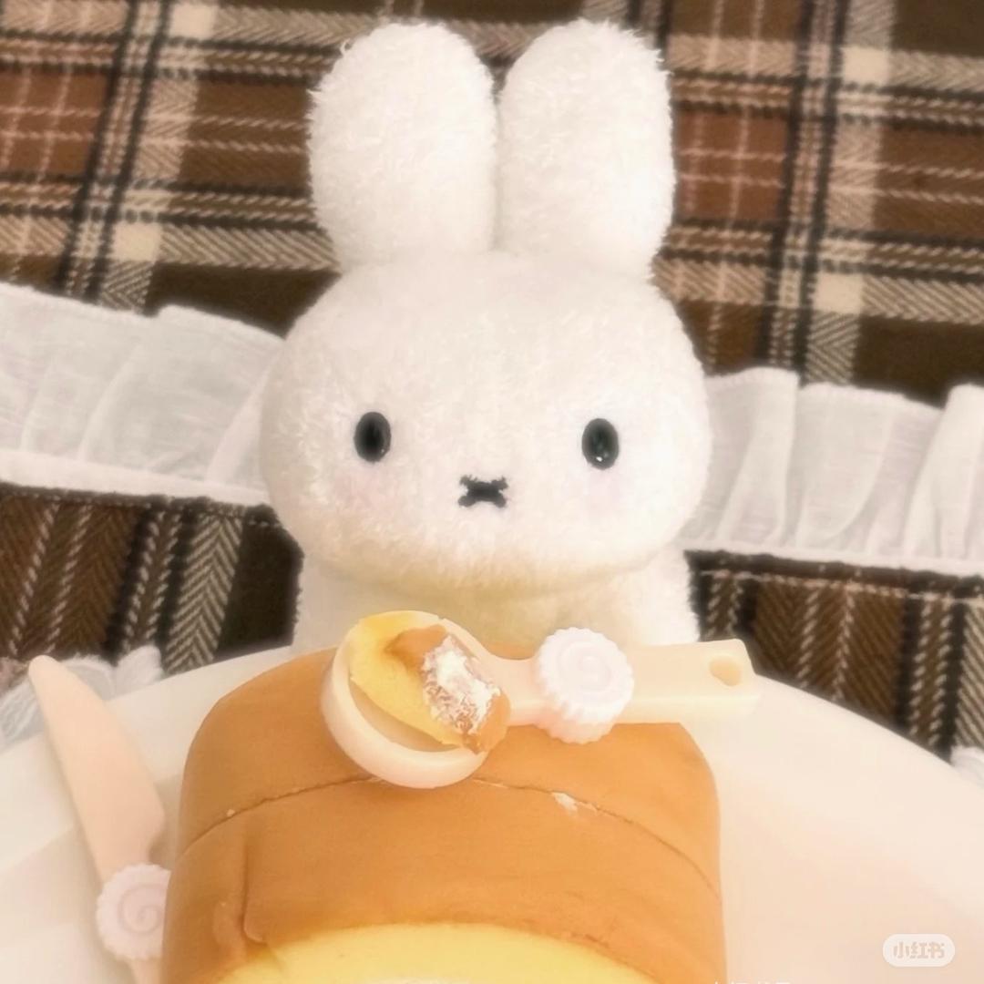 贝果贝