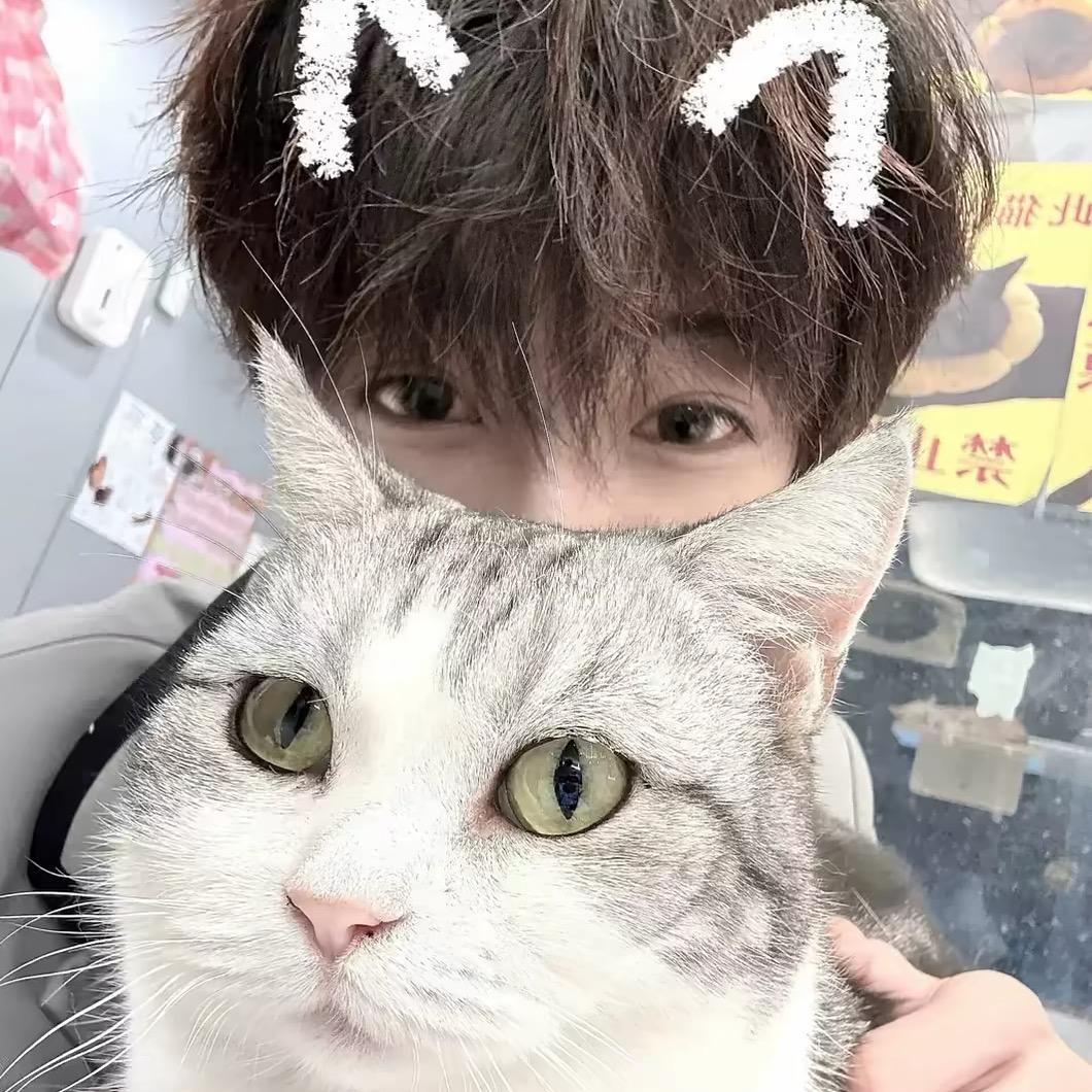 💢              ‘