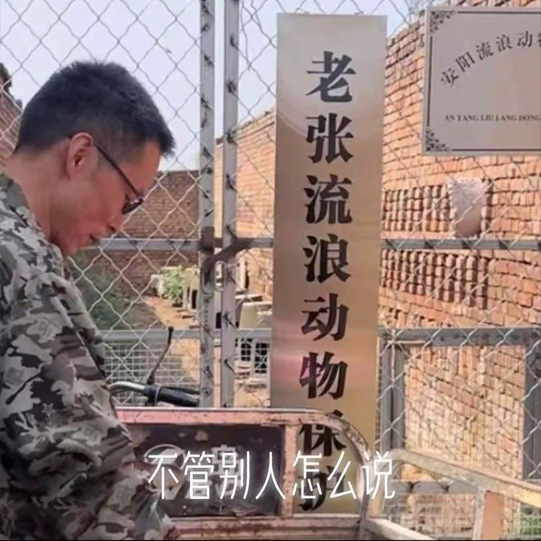 老张流浪狗救助基地