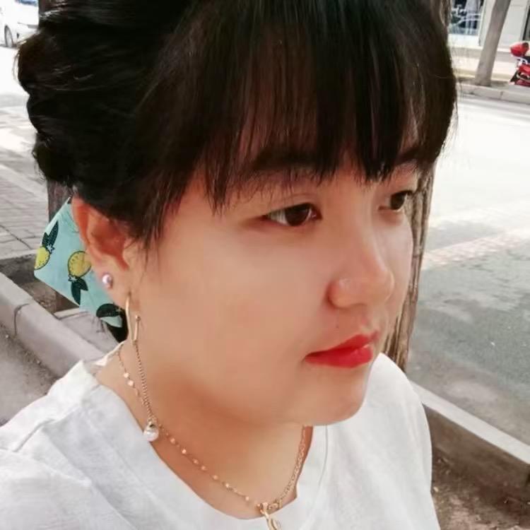 淑贵妃（长安汽车）
