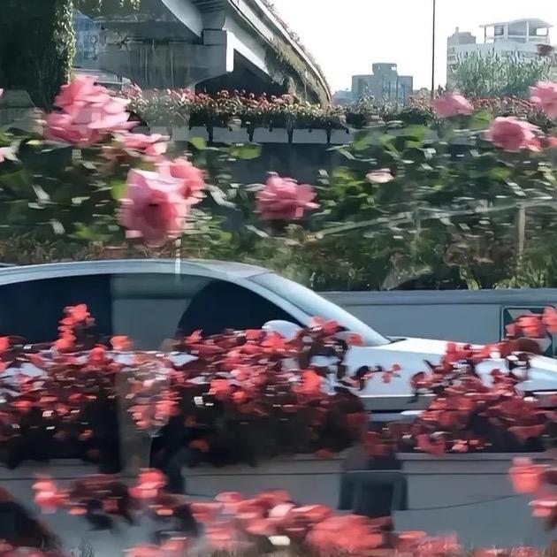 邵文甄选