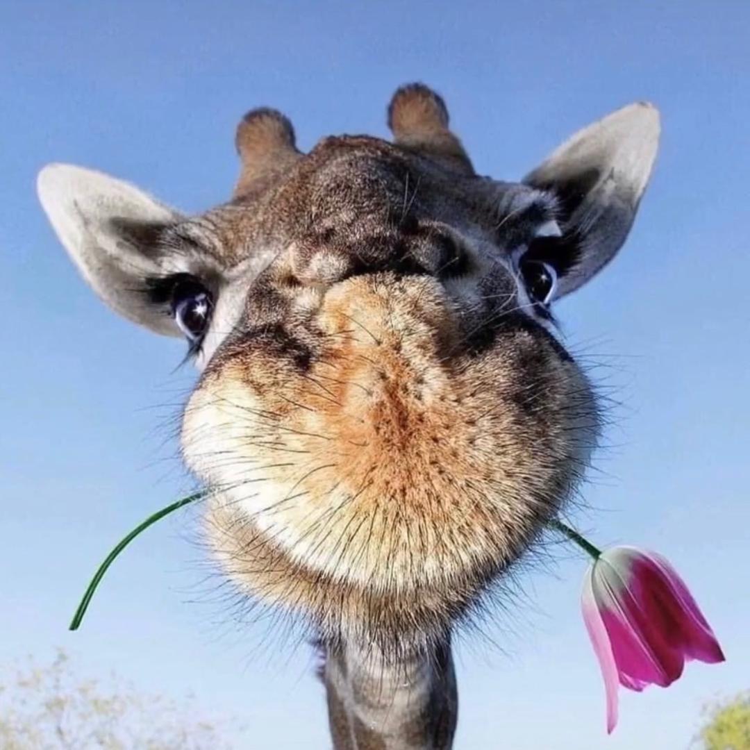 無  極  🌊🌊🌊🌊🌊🌊