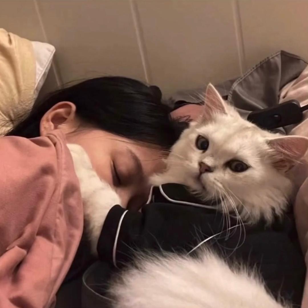 吸口猫气·福州（直播版）