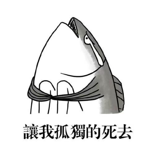 糟老头子