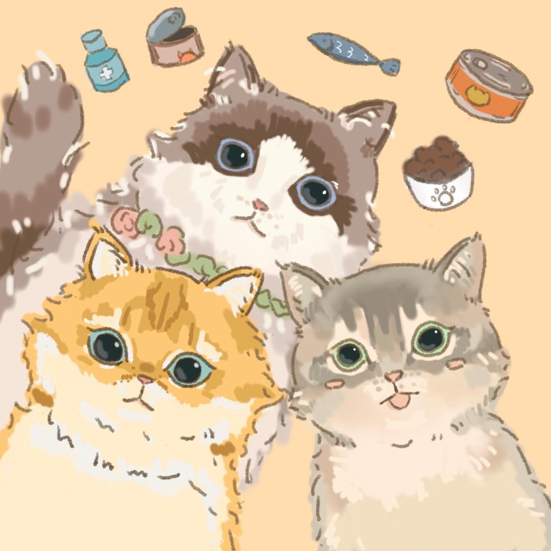 德鲁纳猫