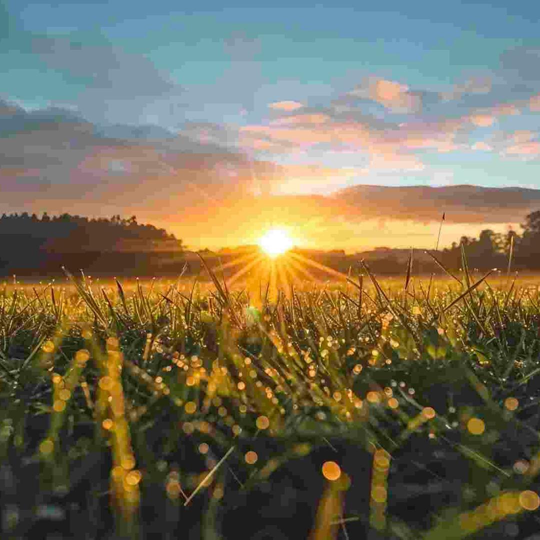 保盛济南府小溪