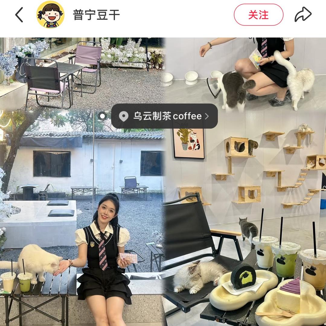 琪