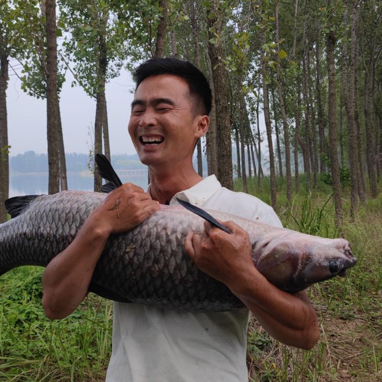 钓鱼人小惠@抖音