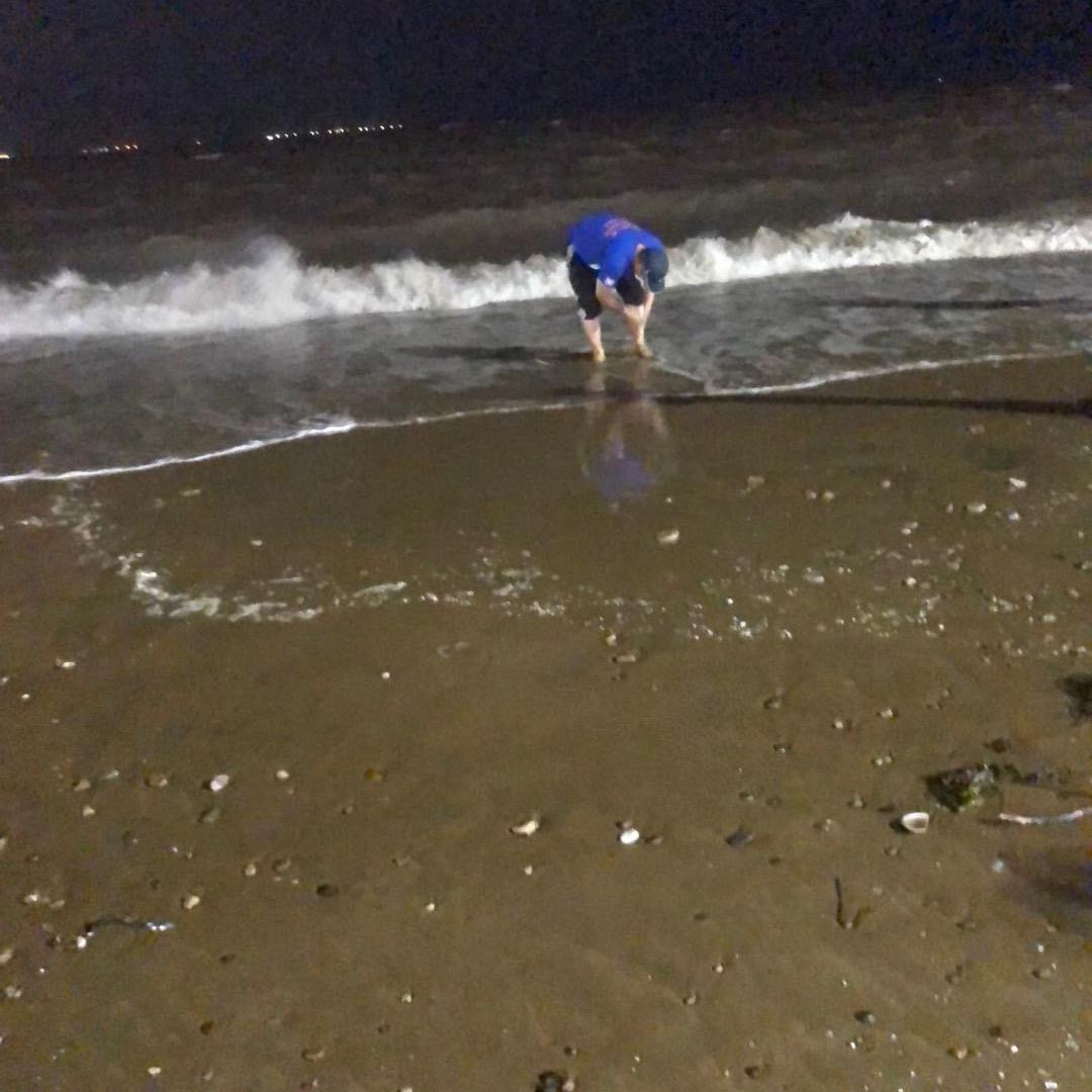 🇨🇳适者生存