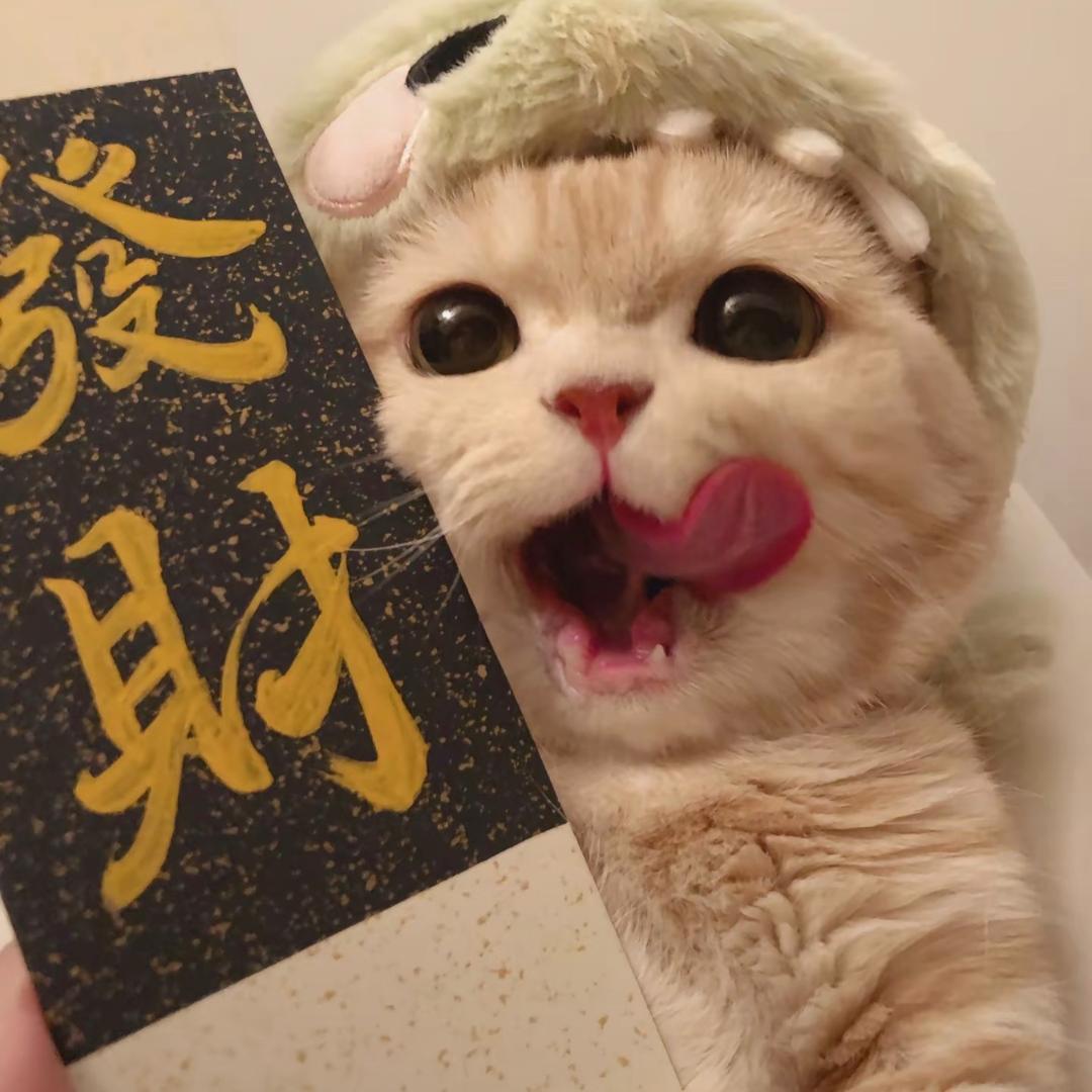 知秋