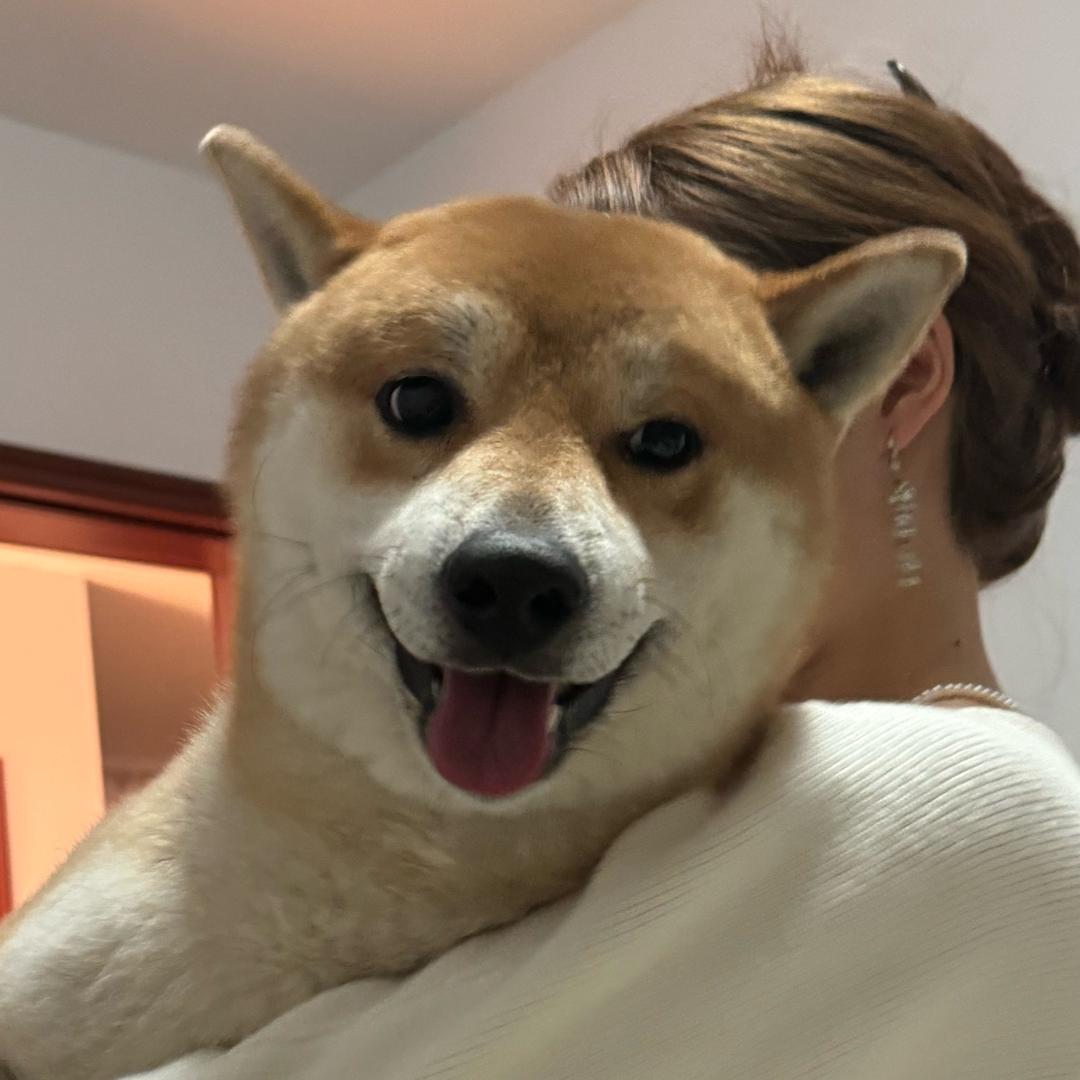 潺潺