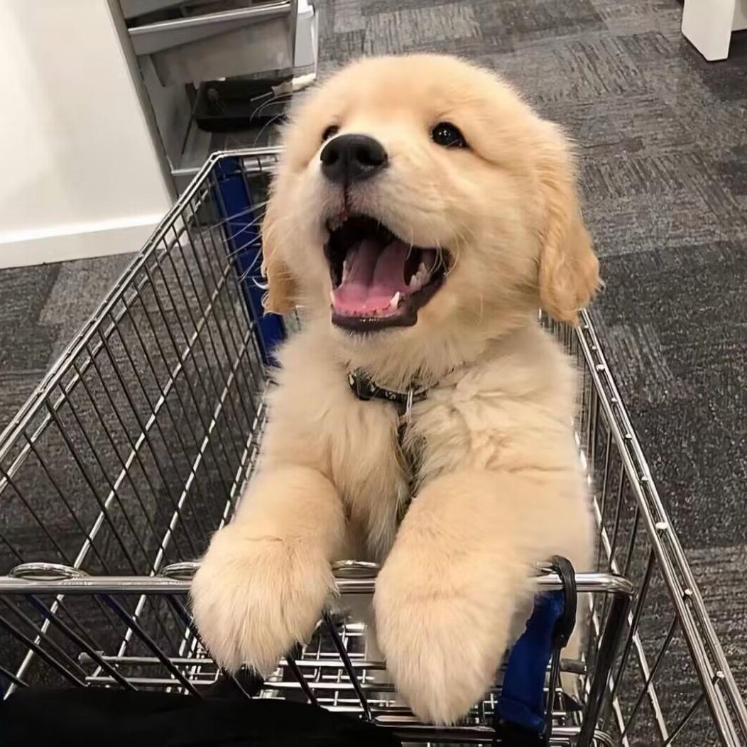 晴川奈奈子🏸️