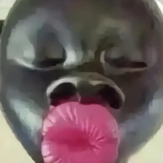 宇宙无敌暴龙战士