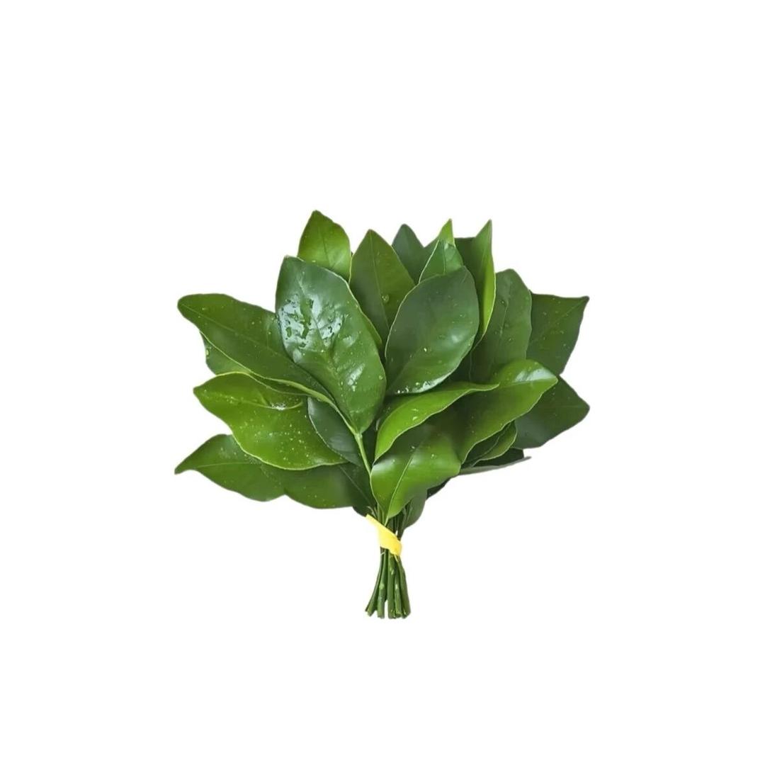 派派.