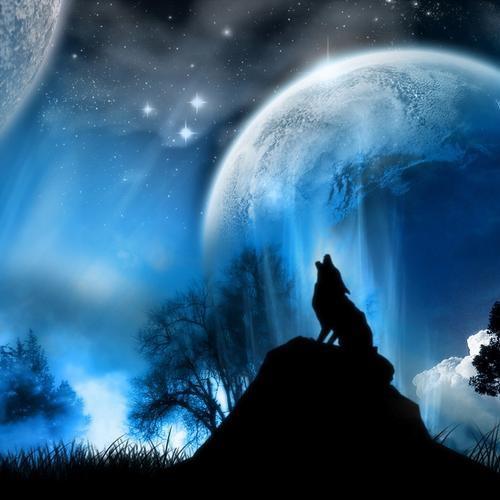 头狼@暗夜独舞&