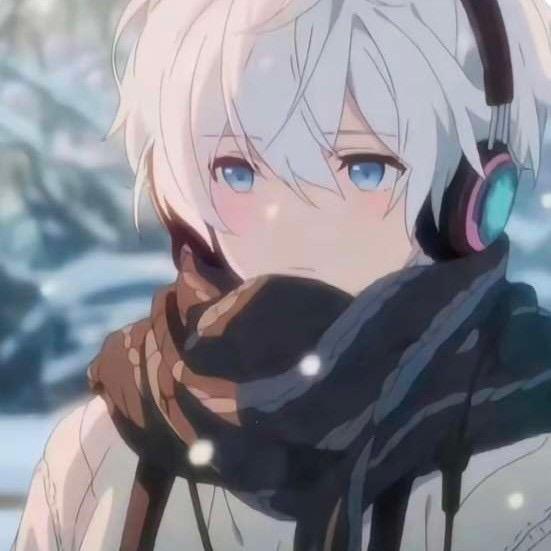 企鹅呀