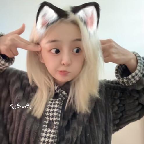 小太子奶