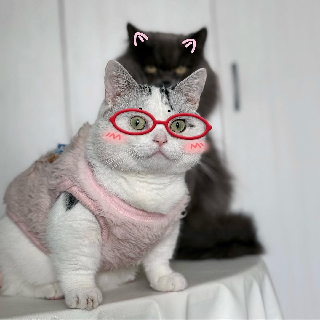 啦啦卟