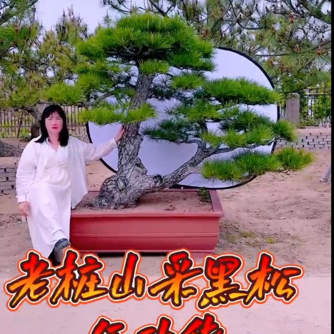 明媚百景园