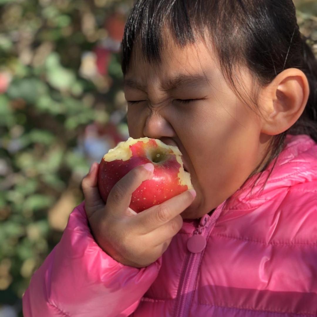 姥姥家的小果园儿