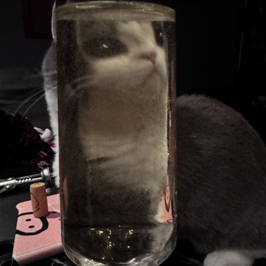 驼