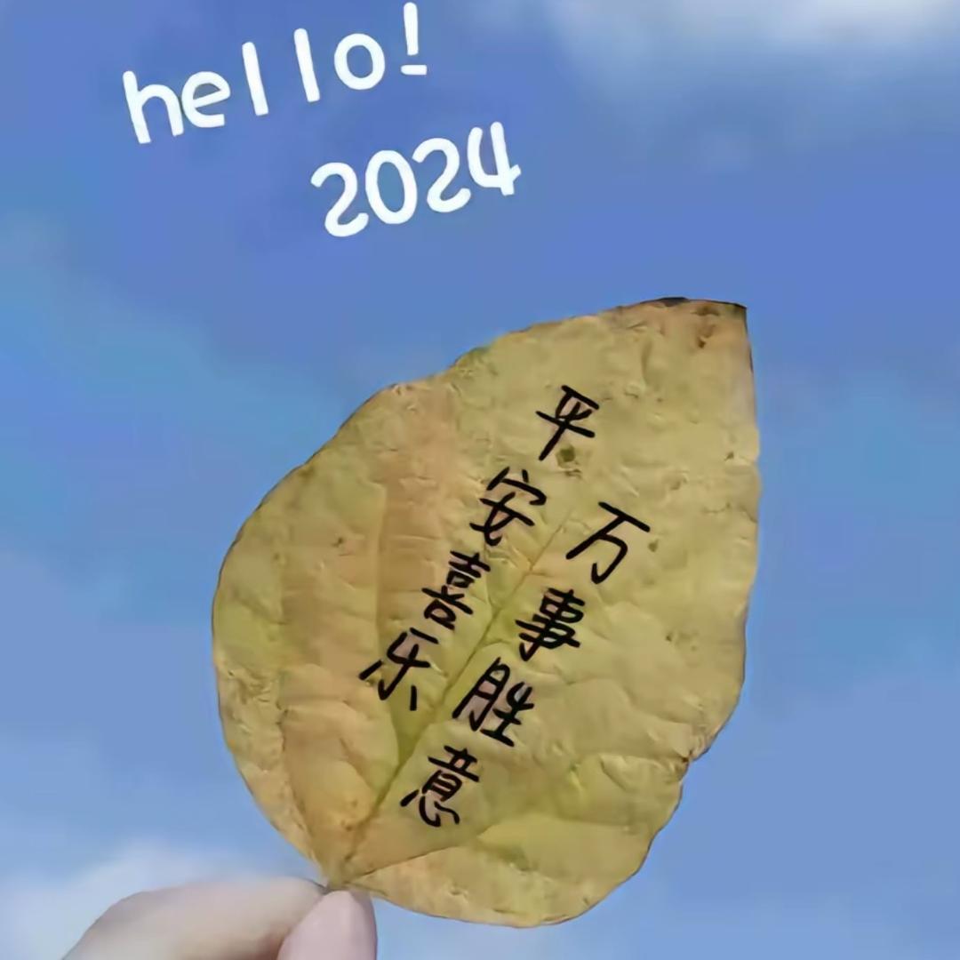 布兜兜