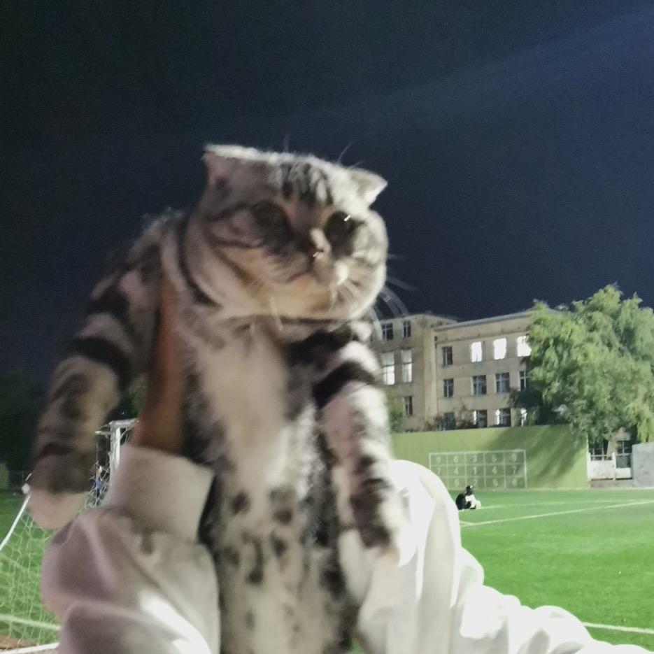 CC的精品小店铺