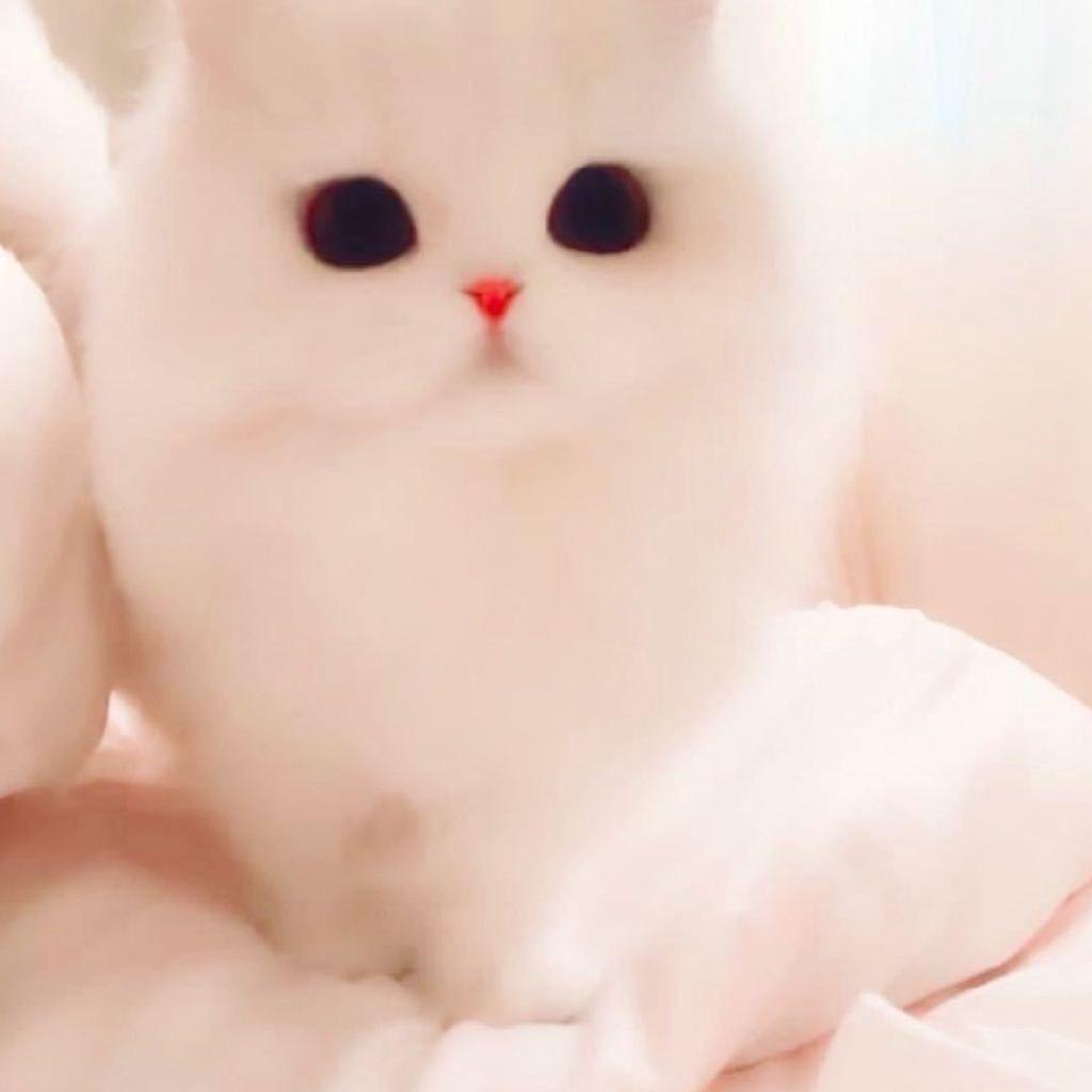 小kk
