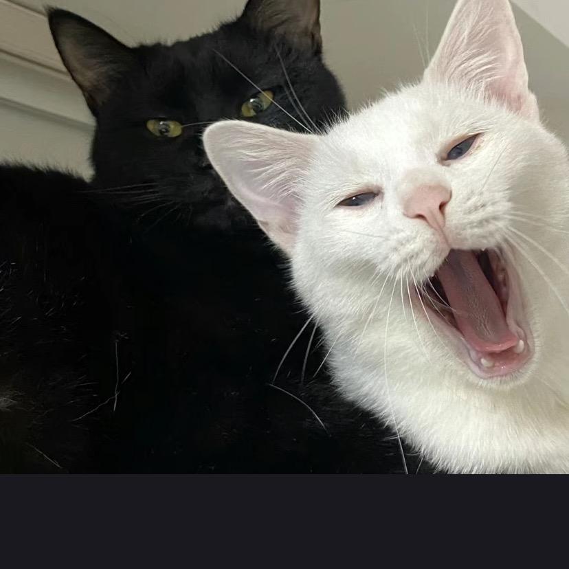 zzzzzz2