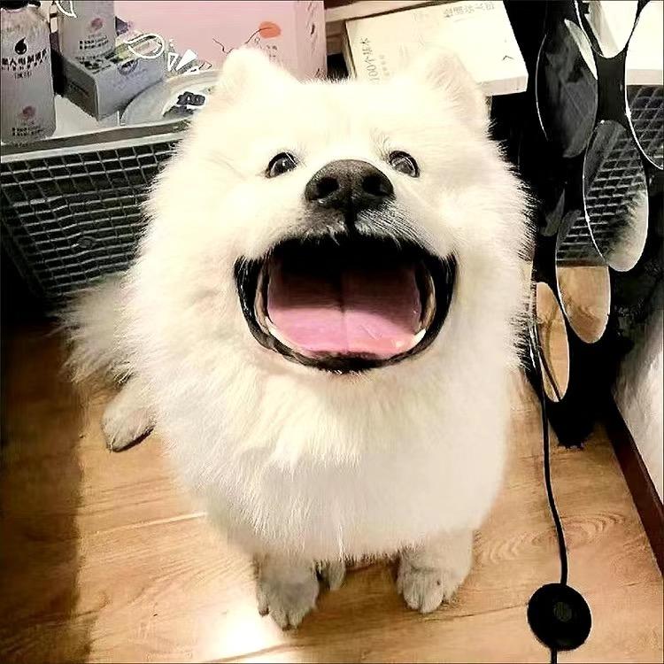 梦一场
