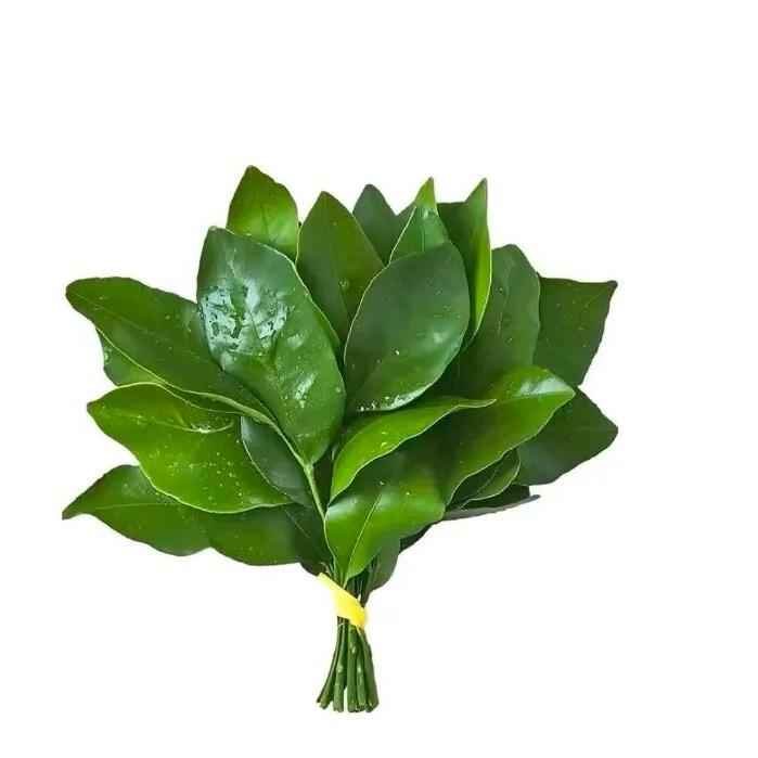 开心的面条