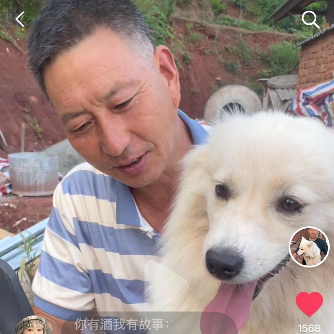撵路狗布蕾