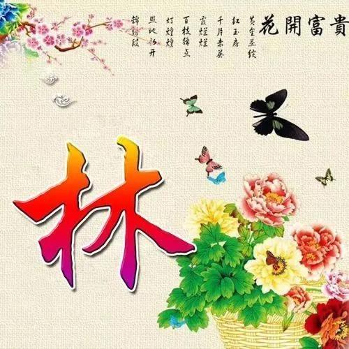 连江大林(吃喝玩乐)