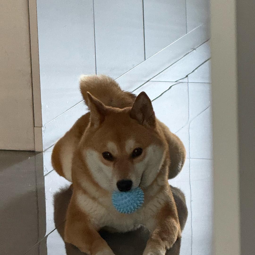 小陈呀！