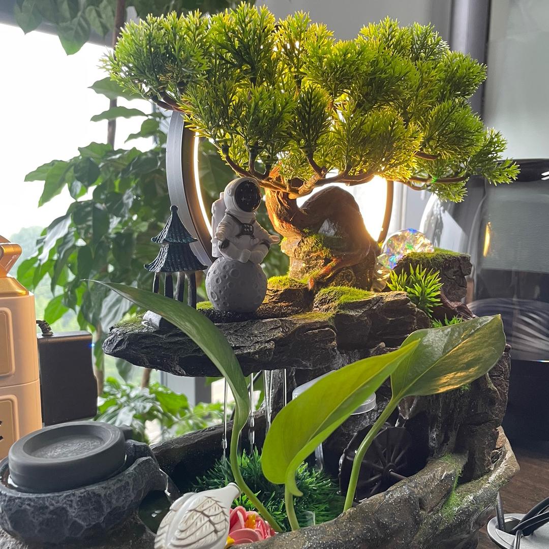 晓锋（野生版）
