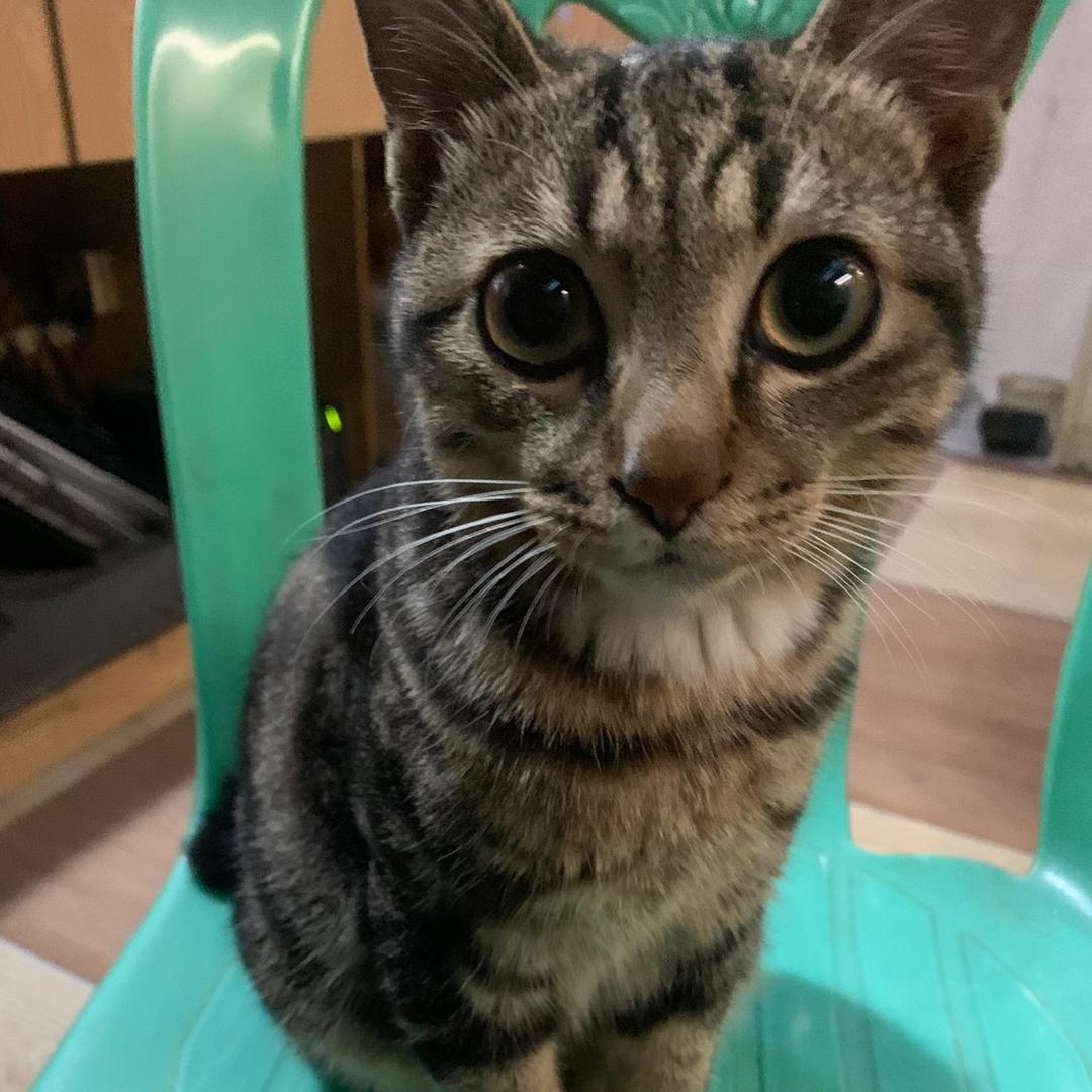 尘世间再无寄托