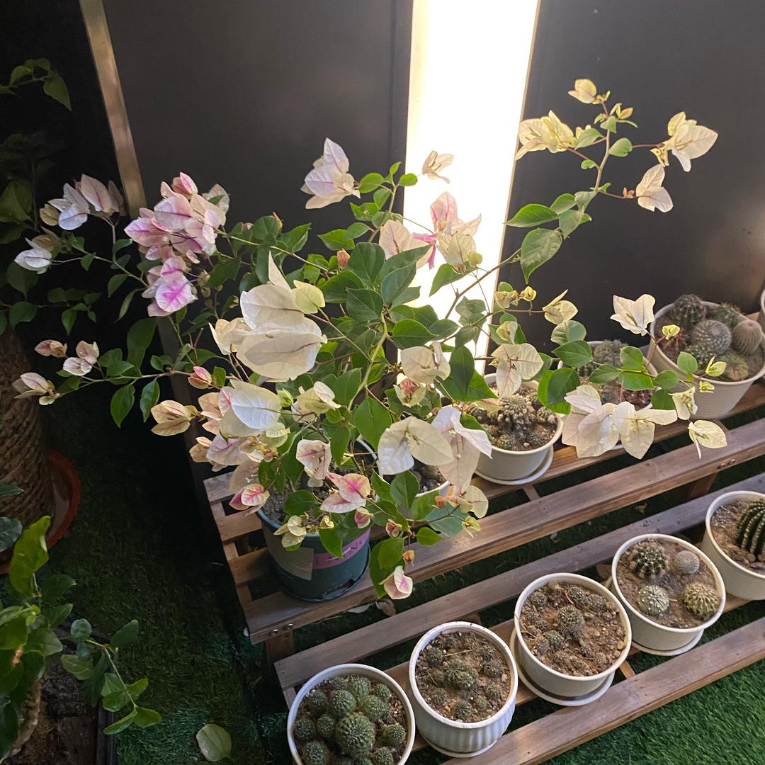 品牌特价95号仓