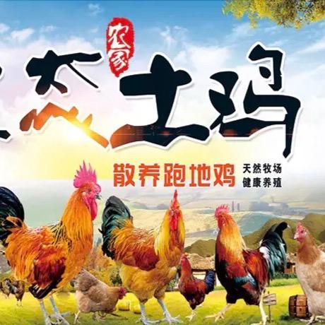 乡村土特产（杭哥）