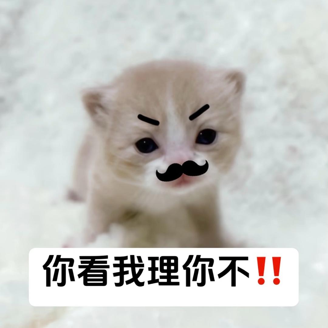 解小好
