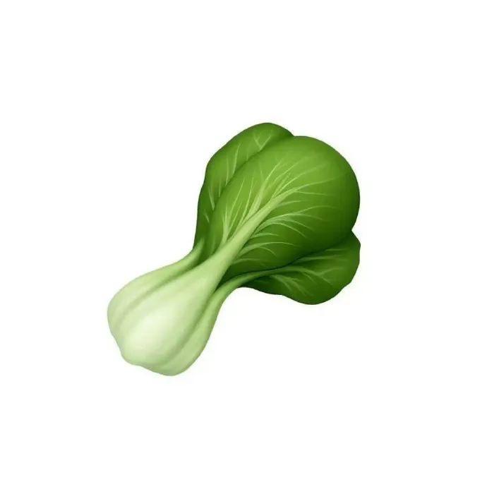 上网做皇帝