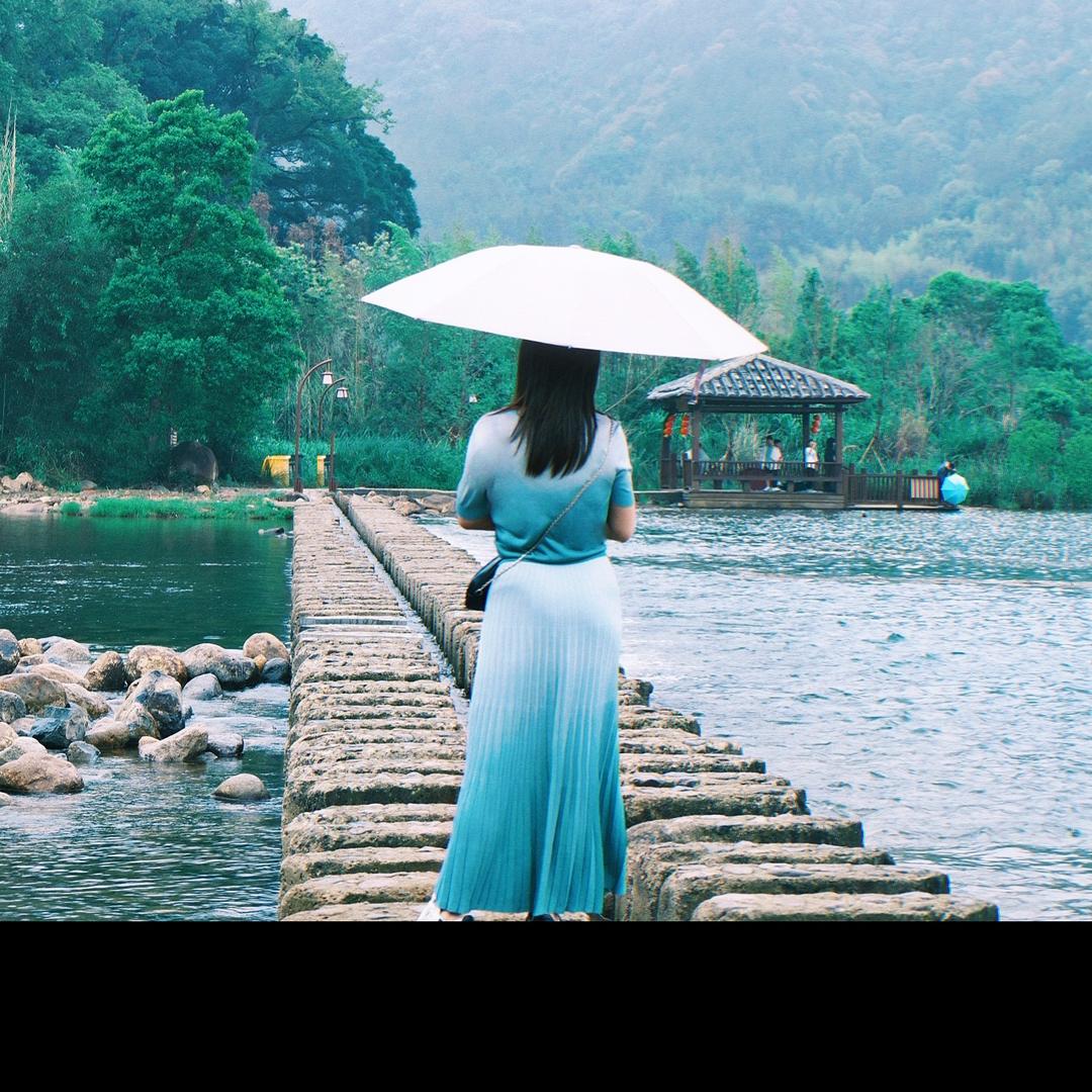 一棵树