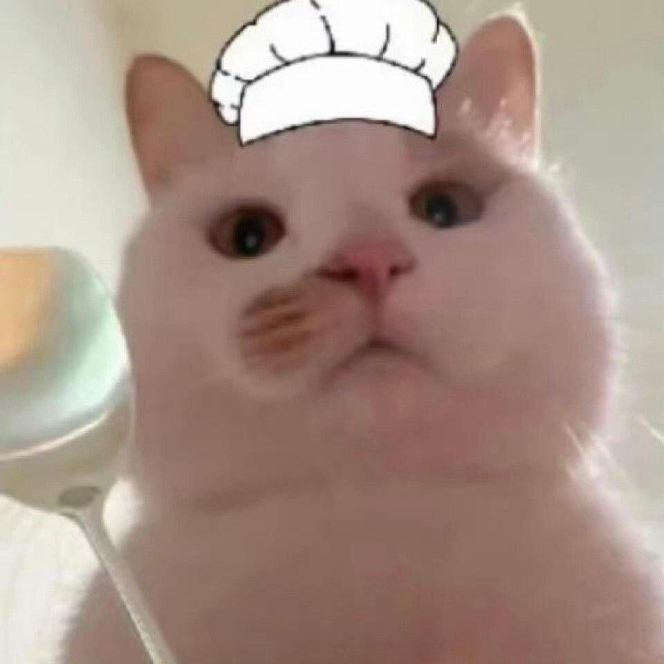超能貓貓