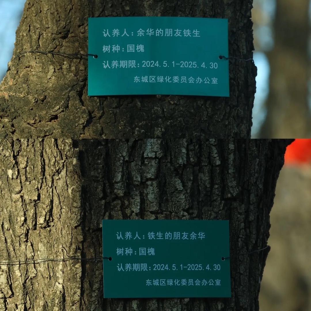 我爱小多肉