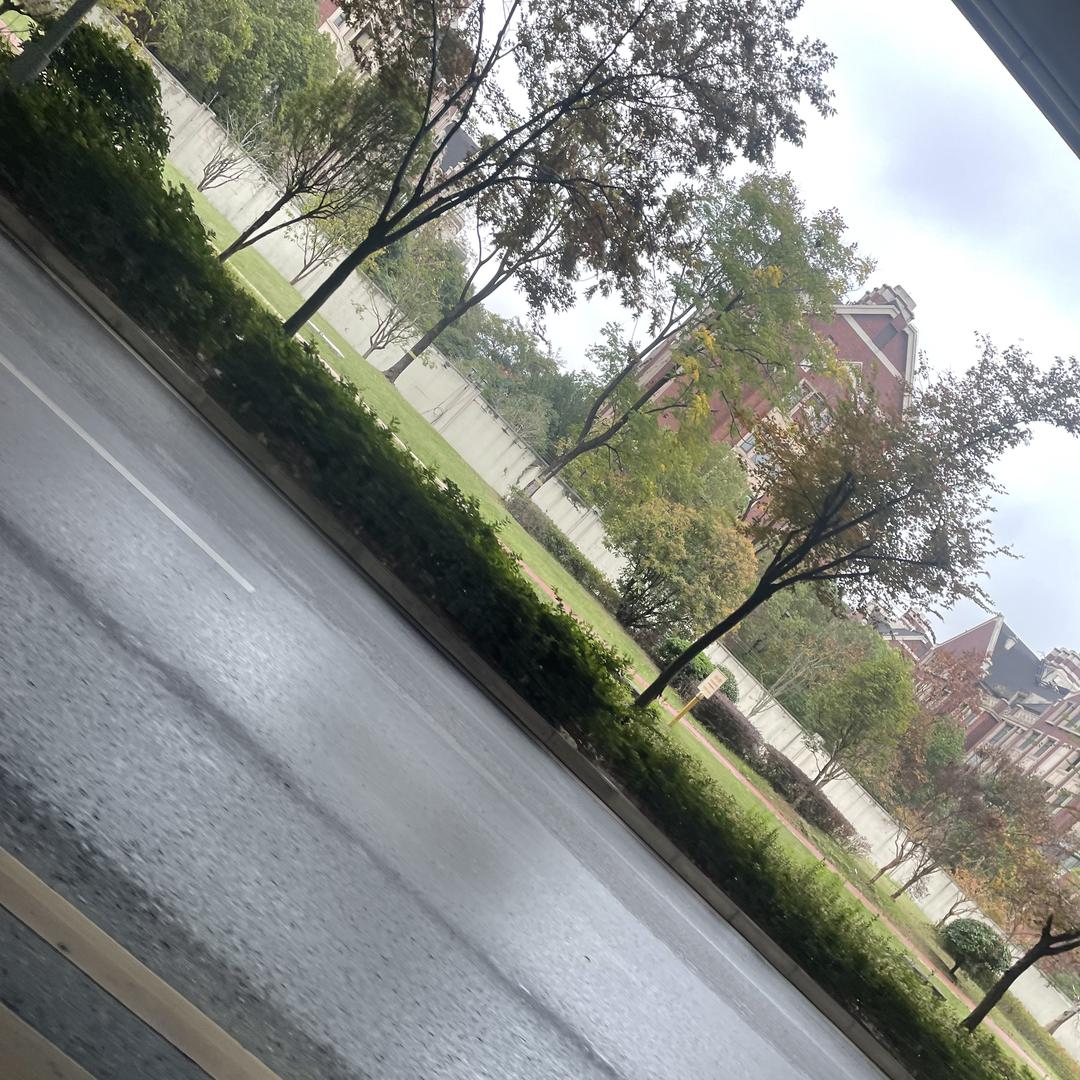 地球森林江嘉店