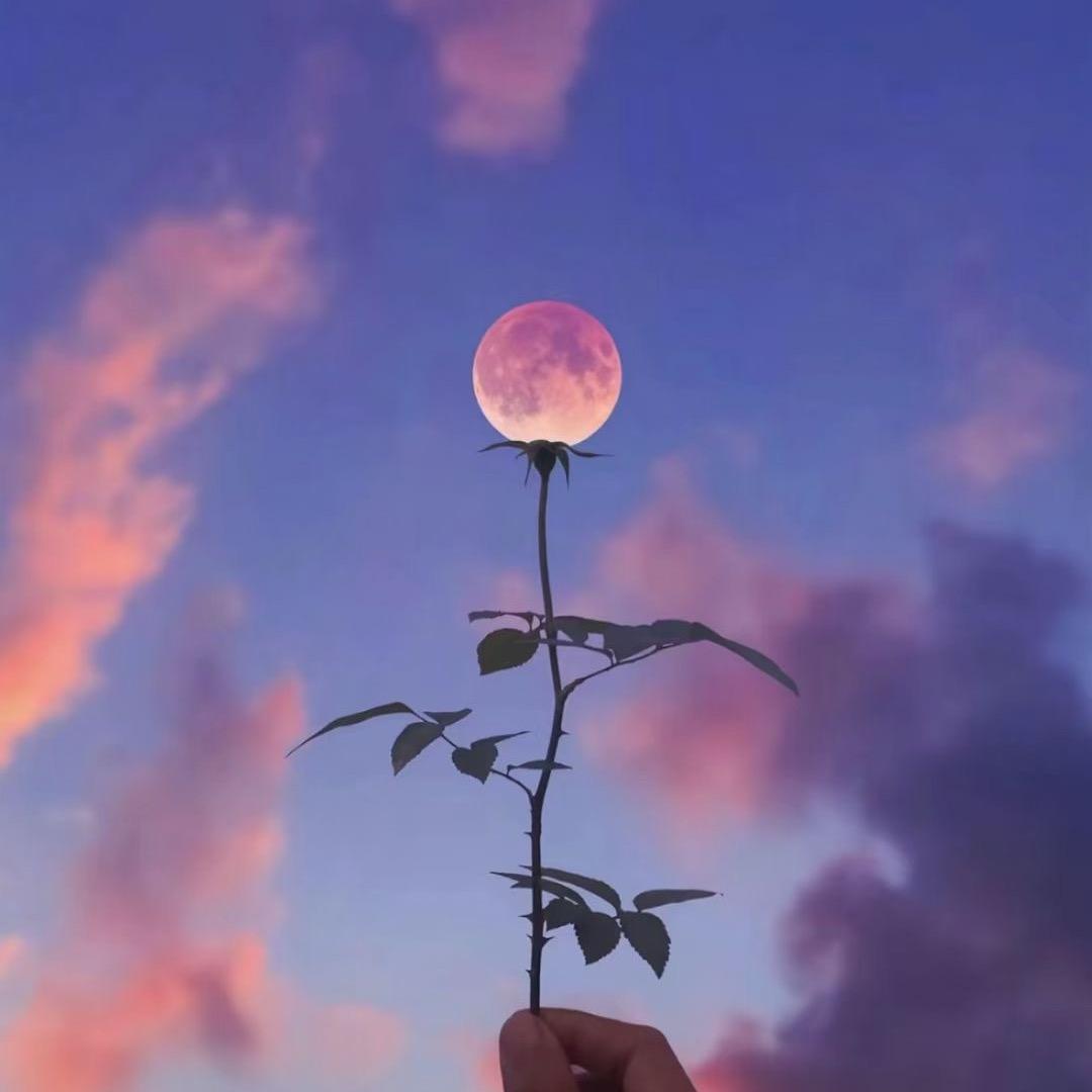 美丫时光