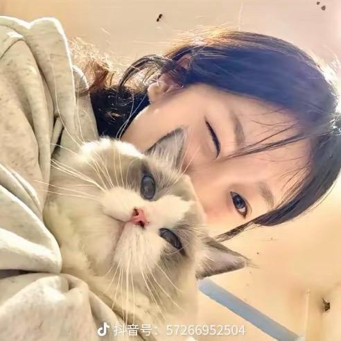 呆呆大王