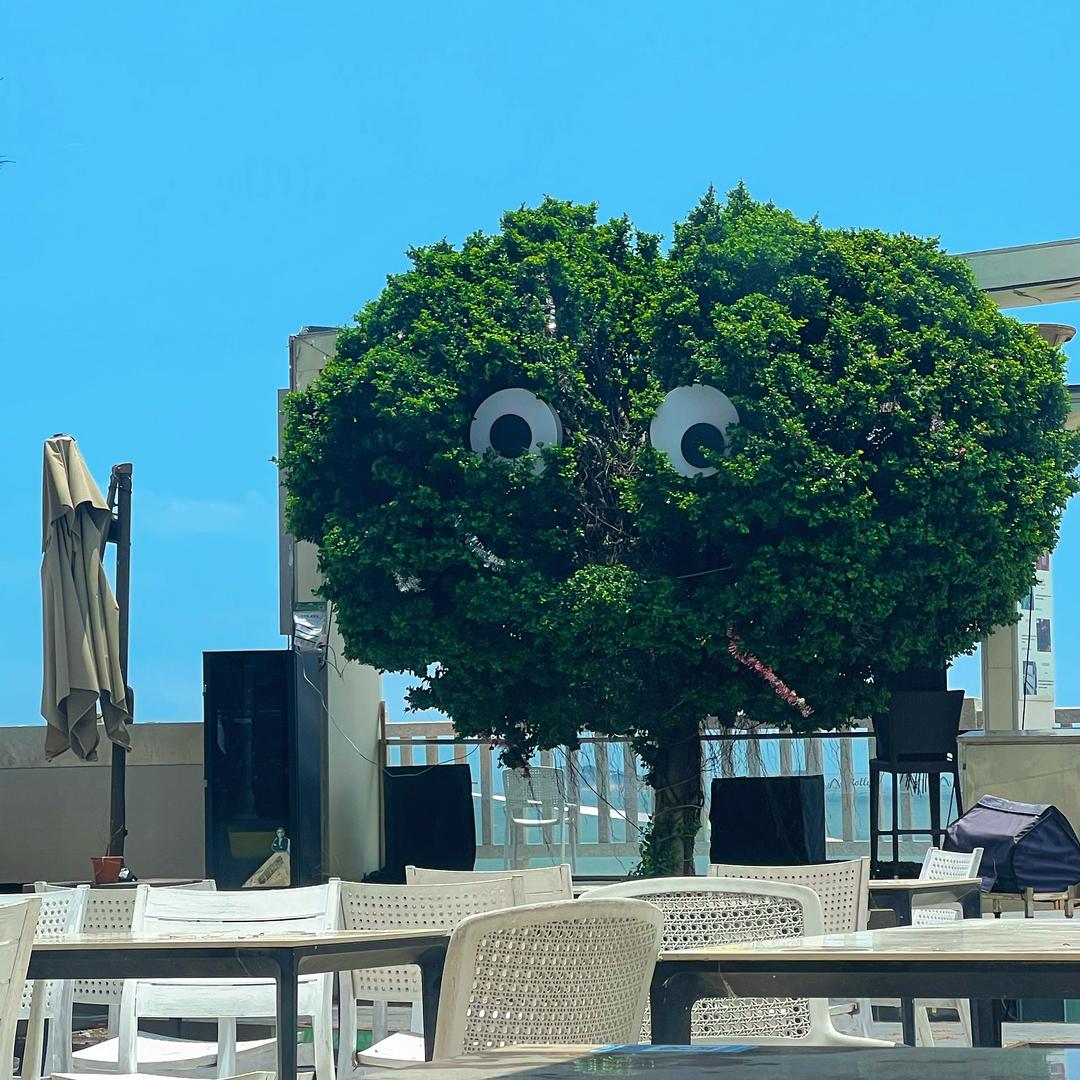 嘉嘉