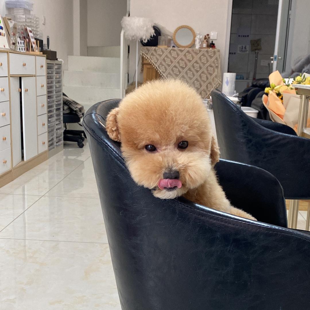 招远市姜大娜美甲美睫店