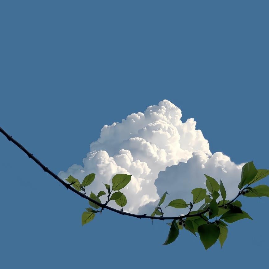 礼县麻友社自助棋牌室