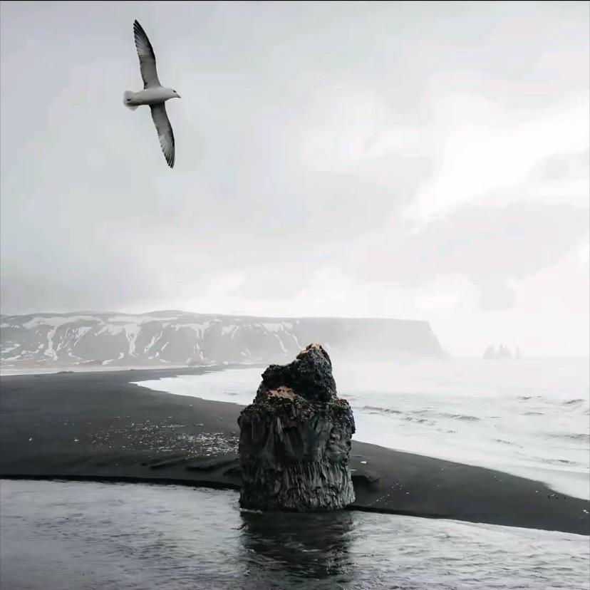 找不到这位女士